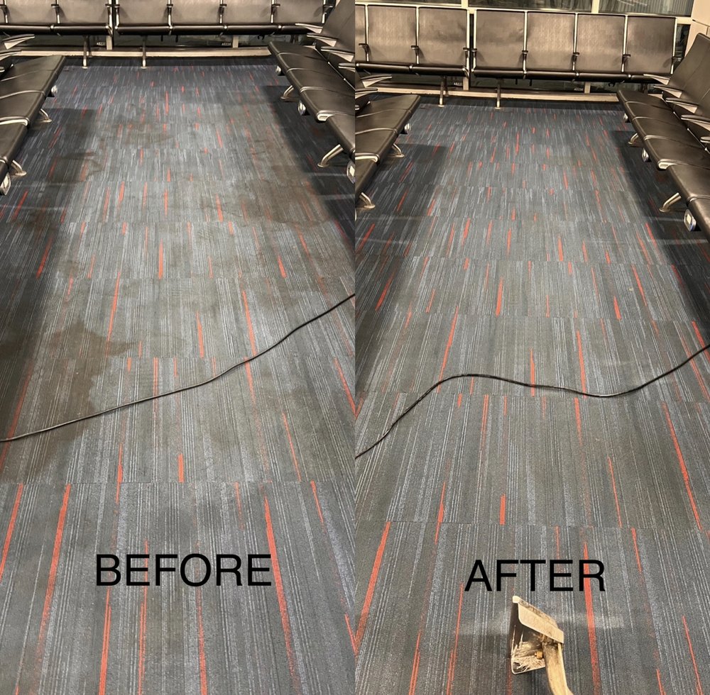 HOLLYWOOD CARPET CARE Updated September 2024 14 Photos Houston