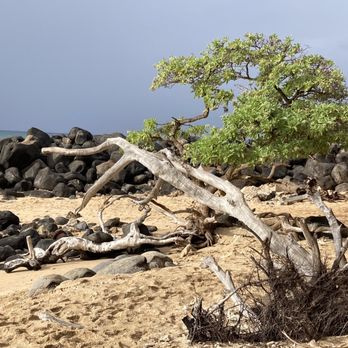 Baldwin Beach Park - Parks Near Me - Paia, Hawaii