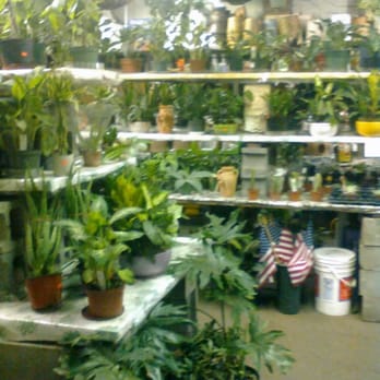 Verni's Garden Center - Nurseries & Gardening Near Me - East Elmhurst, New York Verni's Garden Center - Nurseries & Gardening Near Me - East Elmhurst, New York