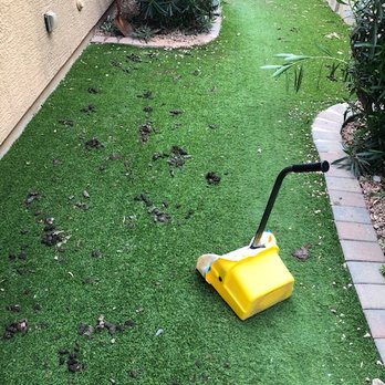 Timely Turds - Big or small jobs we do them all. - Pet Waste Removal Near Me - Gilbert, Arizona