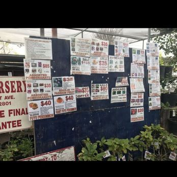 Oriental Nursery - Mimosa Nursery Plant Price.  Passion Fruit was sold at 80$ in Oriental Nursrry while 35$ in Mimosa Nursery. - Nurseries & Gardening Near Me - Diamond Bar, California