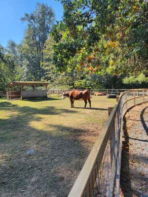 Maplewood Farm by null