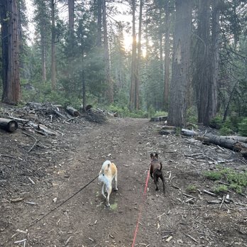 Rivers Resort Rentals - Trail to the dam - Resorts Near Me - Strawberry, California