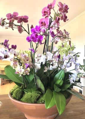 Empty Vase Florist by null
