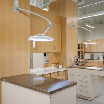 Murphy Pet Hospital - Veterinarians Near Me - Sunnyvale, California Murphy Pet Hospital - Veterinarians Near Me - Sunnyvale, California