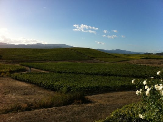 William Hill Estate Winery by null