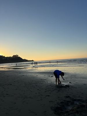 Pacifica State Beach by null