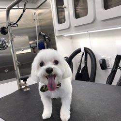 Puppy Love Mobile Grooming - Happy Melrose