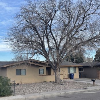 TreePros - Before Treepros - Tree Services Near Me - Albuquerque, New Mexico