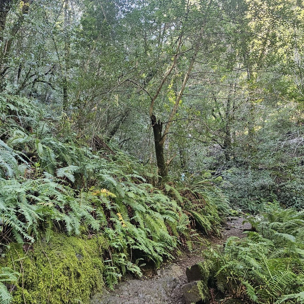 Cataract Falls Trail - Beautiful views - Hiking Near Me Cataract Falls Trail - Beautiful views - Hiking Near Me
