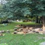 Photo of Woodchuck Tree Service