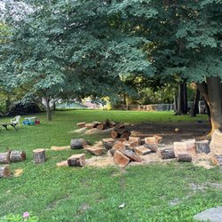 Woodchuck Tree Service - This is after they came back and cut many put to manageable sizes. Still not an effort to clean anything up.