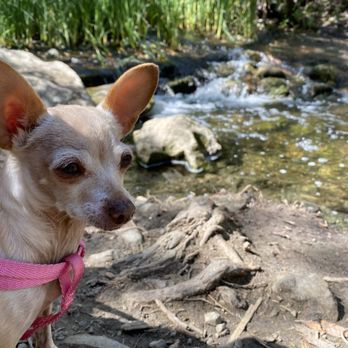 Malibu Vet Clinic - Veterinarians Near Me - Malibu, California