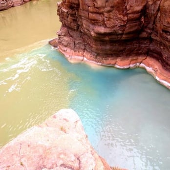 Colorado River via Mooney Falls - The convergence...Blue water is Havasu Falls water, murky water is Colorado River water. Havasu water much water than Colorado - Hiking Near Me