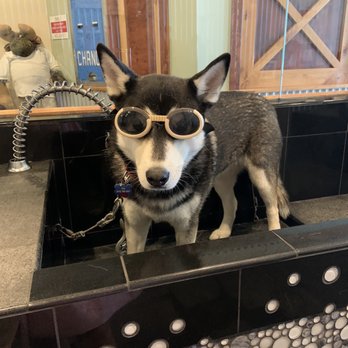 The Laundromutt - Pup wash - Pet Groomers Near Me - Ketchum, Idaho
