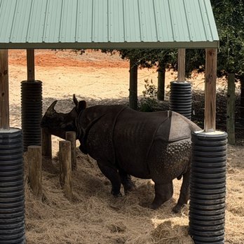 Gulf Breeze Zoo - Zoos Near Me - Gulf Breeze, Florida Gulf Breeze Zoo - Zoos Near Me - Gulf Breeze, Florida