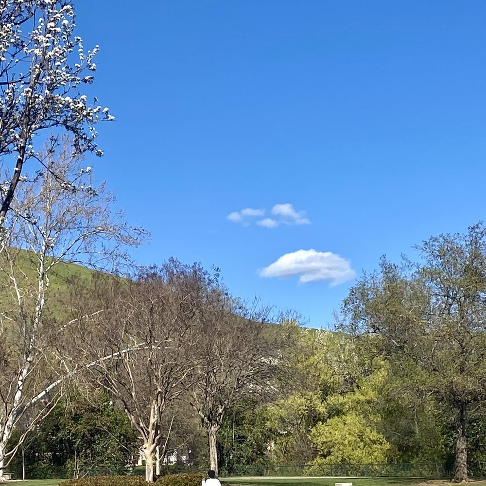 Parks for Kids Solano County, CA - Last Updated January 2026 - Yelp