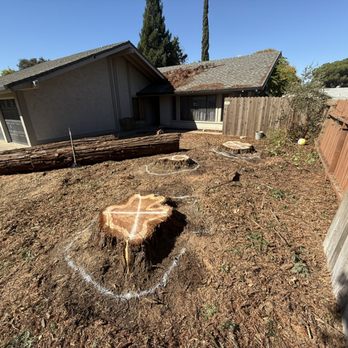 Fresh Air Tree Experts - Tree Services Near Me Fresh Air Tree Experts - Tree Services Near Me
