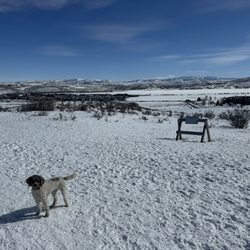 Run-A-Muk Dog Park