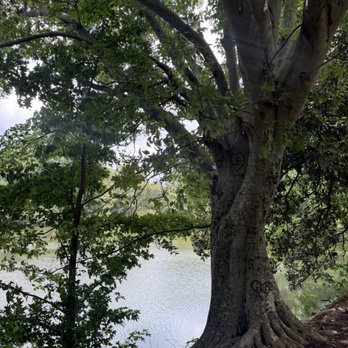 Piedmont Park - Parks Near Me - Atlanta, Georgia Piedmont Park - Parks Near Me - Atlanta, Georgia