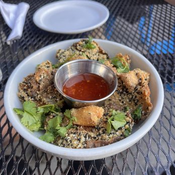 Tasty Harmony - Vegan Near Me - Fort Collins, Colorado