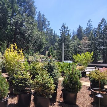 The Standard Design Group Nurseries - Nurseries & Gardening Near Me - Lake Arrowhead, California The Standard Design Group Nurseries - Nurseries & Gardening Near Me - Lake Arrowhead, California