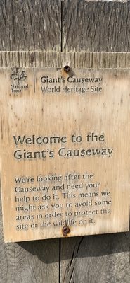 Giant's Causeway by null
