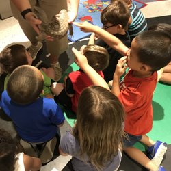 The Learning Experience - Howell