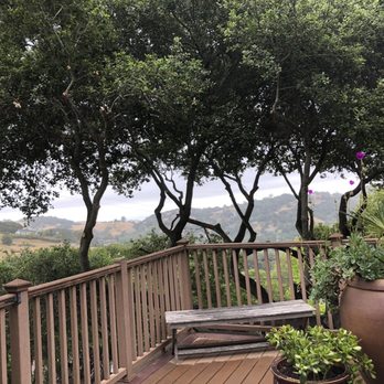 All Stars Tree Service - Tree Services Near Me - Novato, California