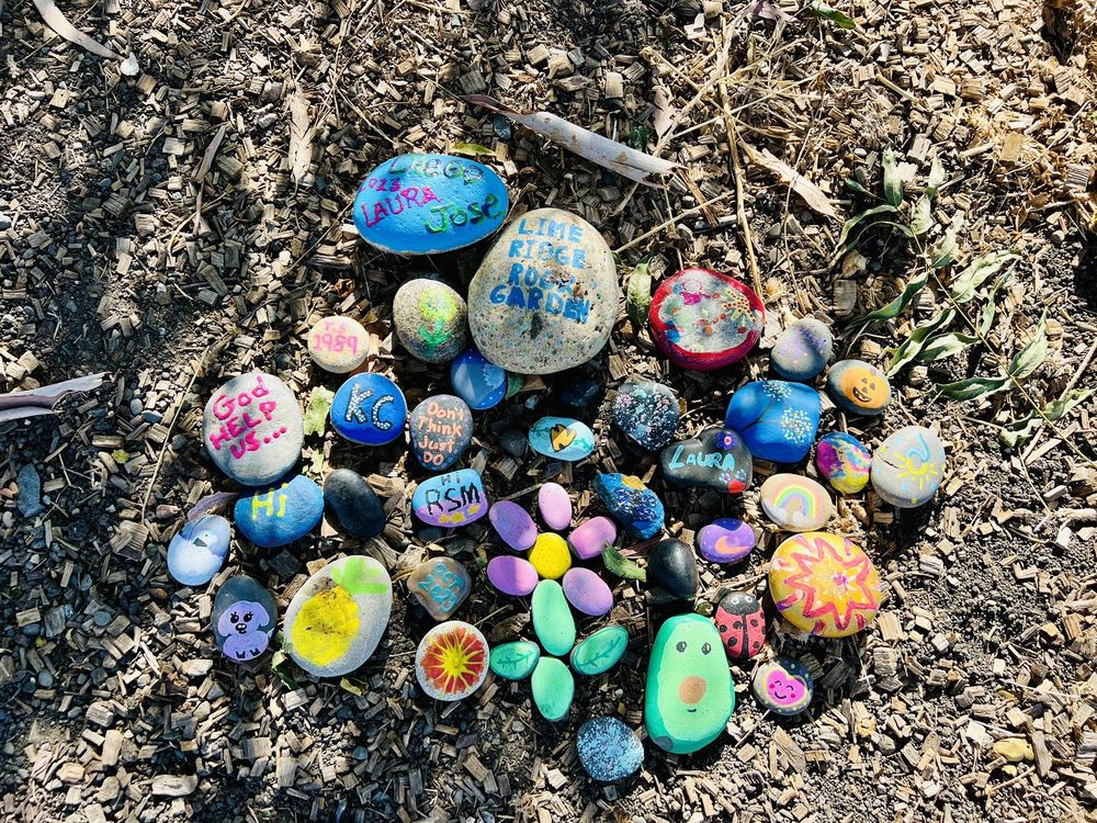 LIME RIDGE OPEN SPACE CONCORD Updated September 2024 306 Photos & 18 Reviews 3701 Treat