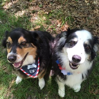 Cape Cod Animal Hospital - Veterinarians Near Me - West Barnstable, Massachusetts Cape Cod Animal Hospital - Veterinarians Near Me - West Barnstable, Massachusetts