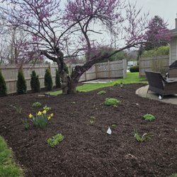 Luciano's Landscaping