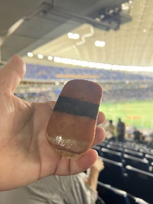 Tokyo Dome by null