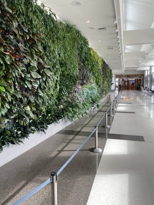 Birmingham-Shuttlesworth International Airport by null