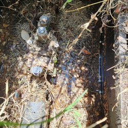 Premium Rooter Plumbing Services