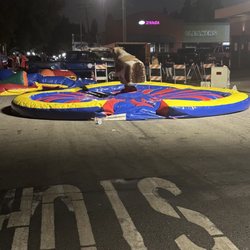 Baldwin Park Street Fair - Bull riding