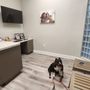 Photo of The Pet Dentist