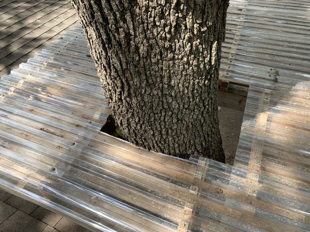 CHIPPERS TREE SERVICE Updated October 2024 77 Photos & 125 Reviews