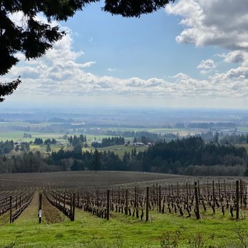 Domaine Drouhin Oregon - Wine Tasting Room Near Me - Dayton, Oregon