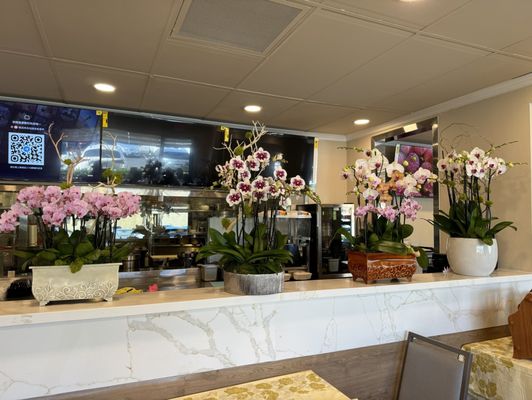 New Elite Restaurant by null