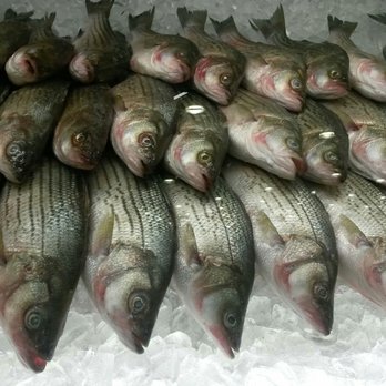 MT Supermarket - The sea bass is lookin' fresh today! - International Grocery Near Me - Austin, Texas