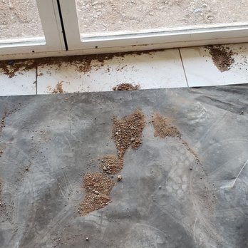 Brilar Homes - This is how our floors looked when we complained about the dirt! This was throughout the house, including carpet. - Architects Near Me - Prescott, Arizona Brilar Homes - This is how our floors looked when we complained about the dirt! This was throughout the house, including carpet. - Architects Near Me - Prescott, Arizona