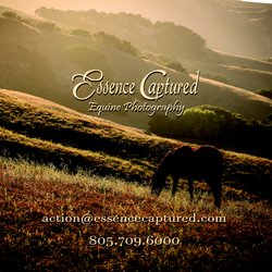 Lori Sortino - Fine Art Gallery: http://essencecaptured.shootproof.com/gallery/art