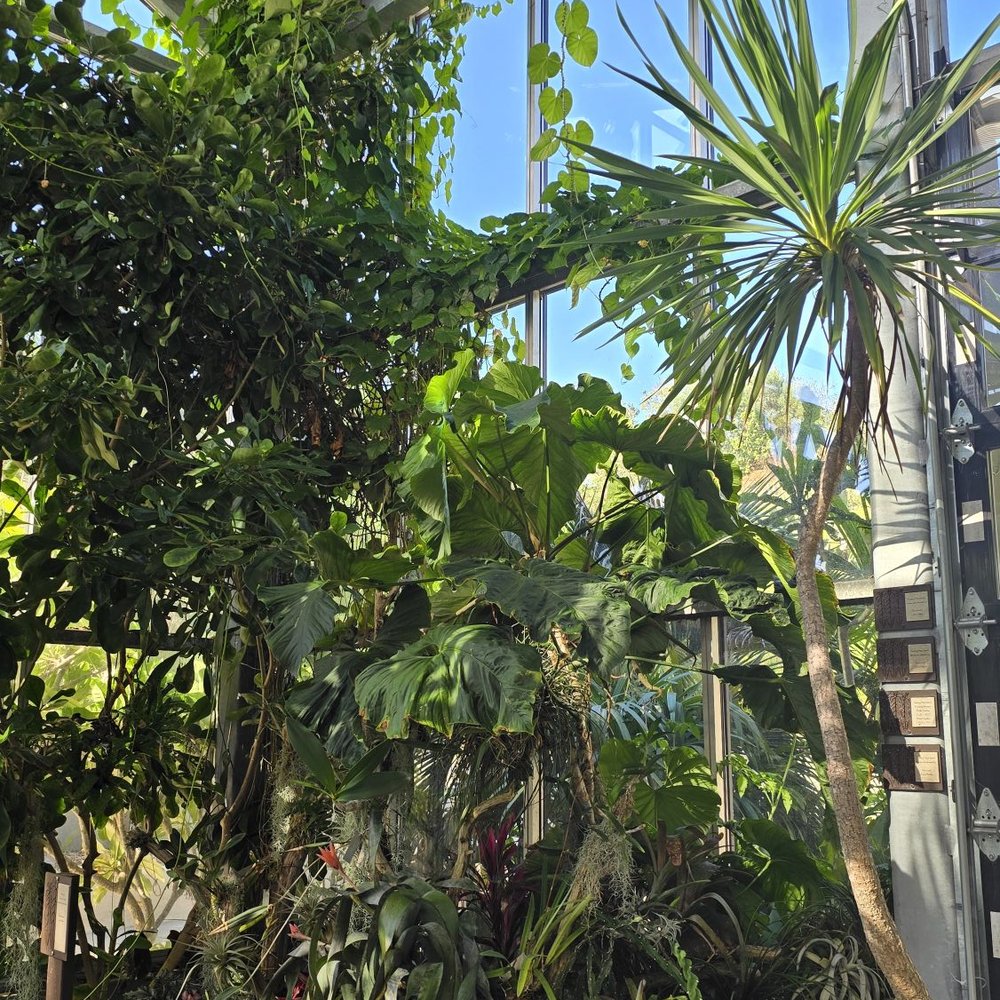 San Diego Botanic Garden - Botanical Gardens Near Me - Encinitas, California