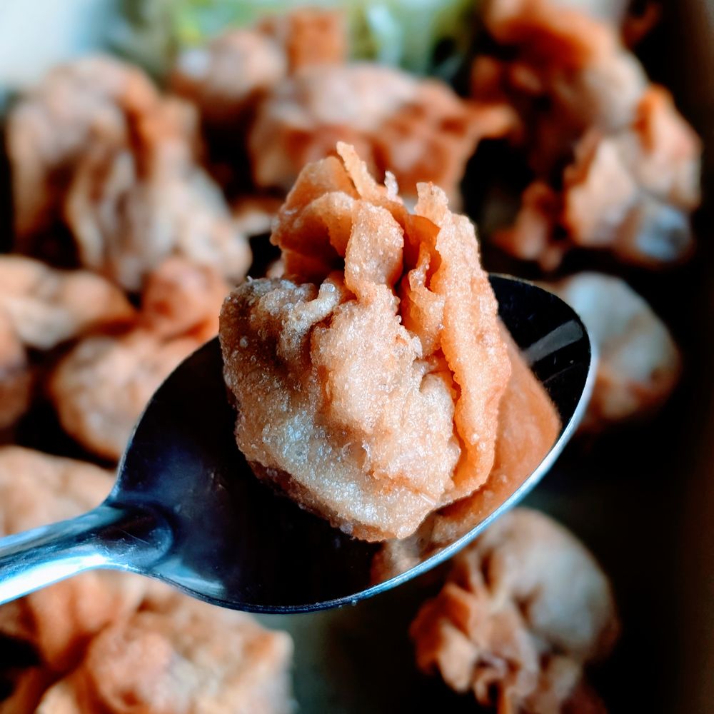 Vietnam Coast - Fried Wonton - Vietnamese Near Me - Houston, Texas Vietnam Coast - Fried Wonton - Vietnamese Near Me - Houston, Texas