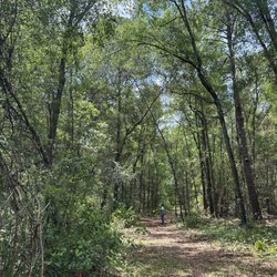 A short trail to the other side of it.