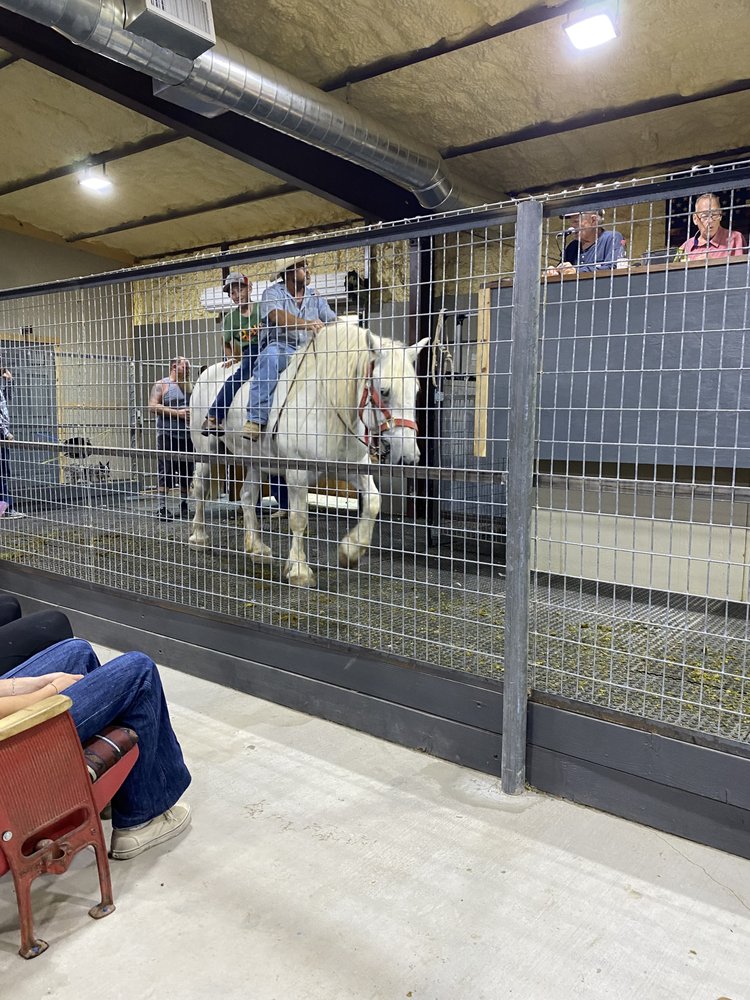 MURPHY’S LIVESTOCK AUCTION ARIZONA HORSE AND MULE Updated September