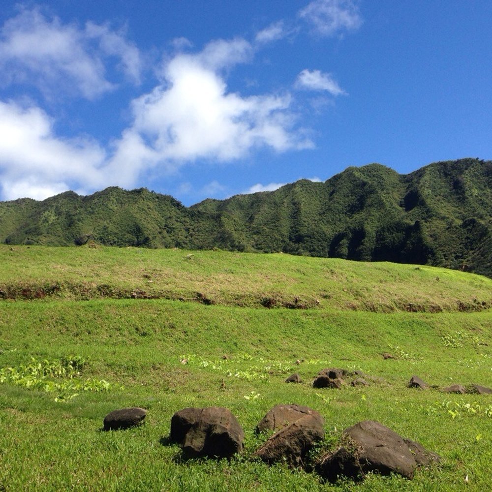 Lulumahu Falls - Hiking Near Me - Honolulu, Hawaii Lulumahu Falls - Hiking Near Me - Honolulu, Hawaii