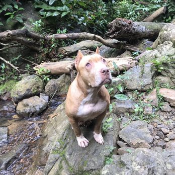Jerrys Adventures llc. - Tours Near Me - Bayamón, Puerto Rico Jerrys Adventures llc. - Tours Near Me - Bayamón, Puerto Rico