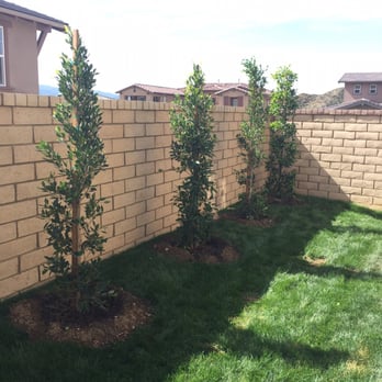 Moon Valley Nurseries - Nurseries & Gardening Near Me - Fillmore, California